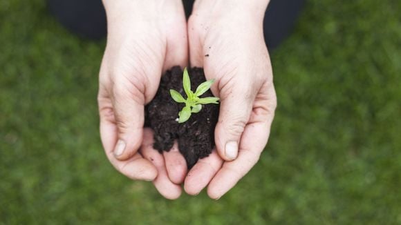 14 gestes green pour lutter contre le réchauffement climatique à son petit niveau