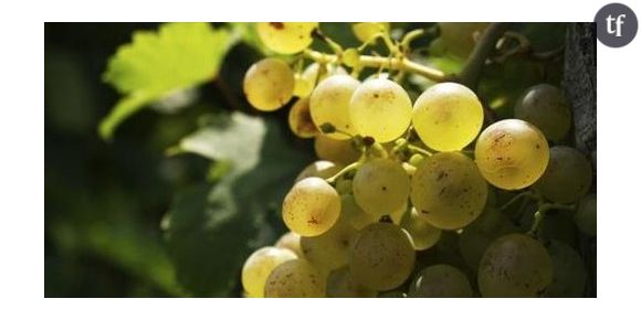 78e Fête des vendanges à Montmartre : le programme des 8 et 9 octobre 2011