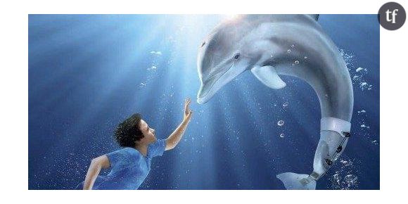 Marseille : Trois dauphins retrouvés morts au fond de l’eau