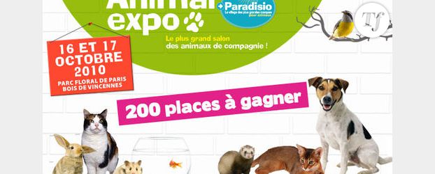 Infos pratiques et programme du salon « Animal Expo » 2011