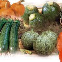 Andrézieux-Bouthéon : La fête de la courge 