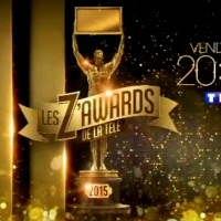 Les Z'Awards de la télé 2015 : le palmarès complet (replay 11 décembre)