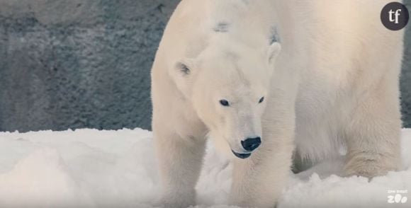 On en oublierait presque qu'ils peuvent être dangereux