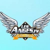 Les Anges 8 : un candidat de Koh-Lanta au casting