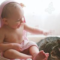 Avoir un chat, c'est dangereux quand on a un bébé ?