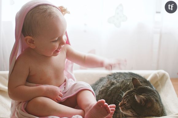Bébé et chat font-ils bon ménage ?
