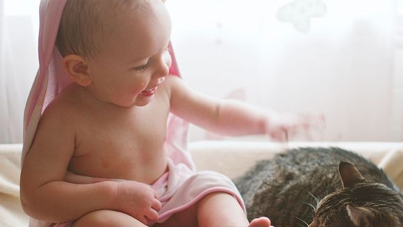 Avoir un chat, c'est dangereux quand on a un bébé ?