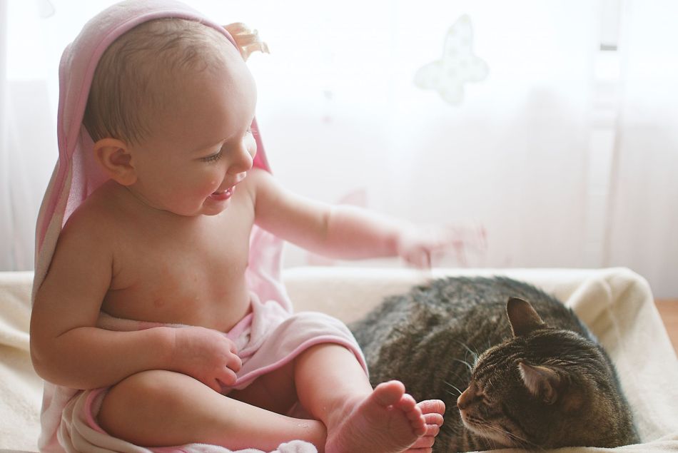 Bébé et chat font-ils bon ménage ?