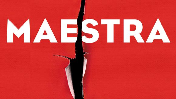 4 bonnes raisons de lire "Maestra", le thriller érotique de L.S. Hilton