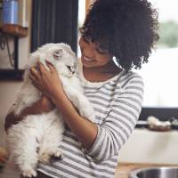 Les chats sont bons pour la santé, c'est scientifiquement prouvé