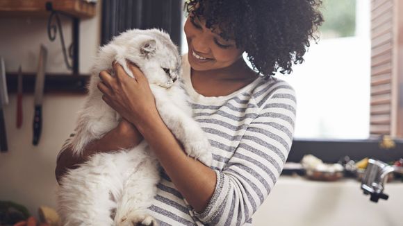 Les chats sont bons pour la santé, c'est scientifiquement prouvé