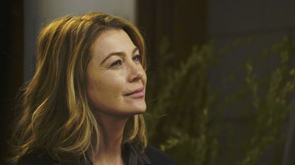 Grey's Anatomy saison 12 : Meredith va-t-elle craquer pour le Docteur Will ? (spoilers)