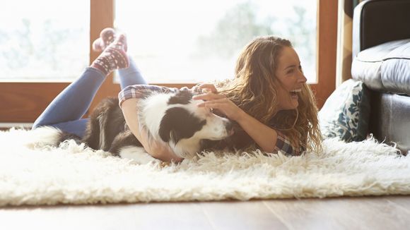 Les chiens seraient meilleurs pour la santé que les chats