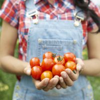 Voici la meilleure façon de cuisiner des tomates