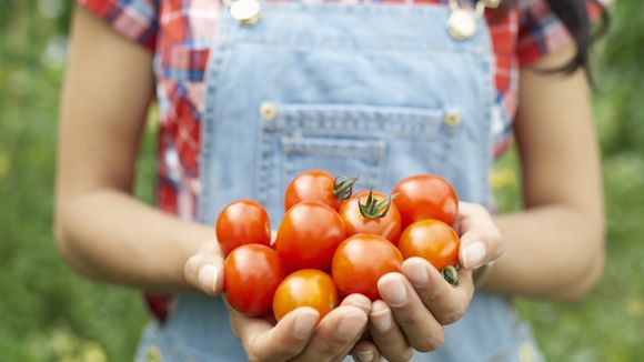 Voici la meilleure façon de cuisiner des tomates