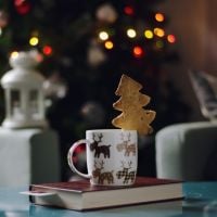 Noël 2016 : 13 beaux livres à mettre sous le sapin