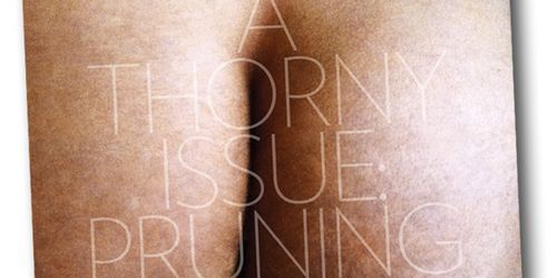 Presse : L’acteur James Franco montre ses fesses 