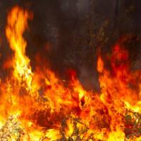 Incendies à La Réunion : Joly et Duflot  s’indignent contre l'État