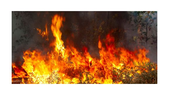 Incendies à La Réunion : Joly et Duflot  s’indignent contre l'État
