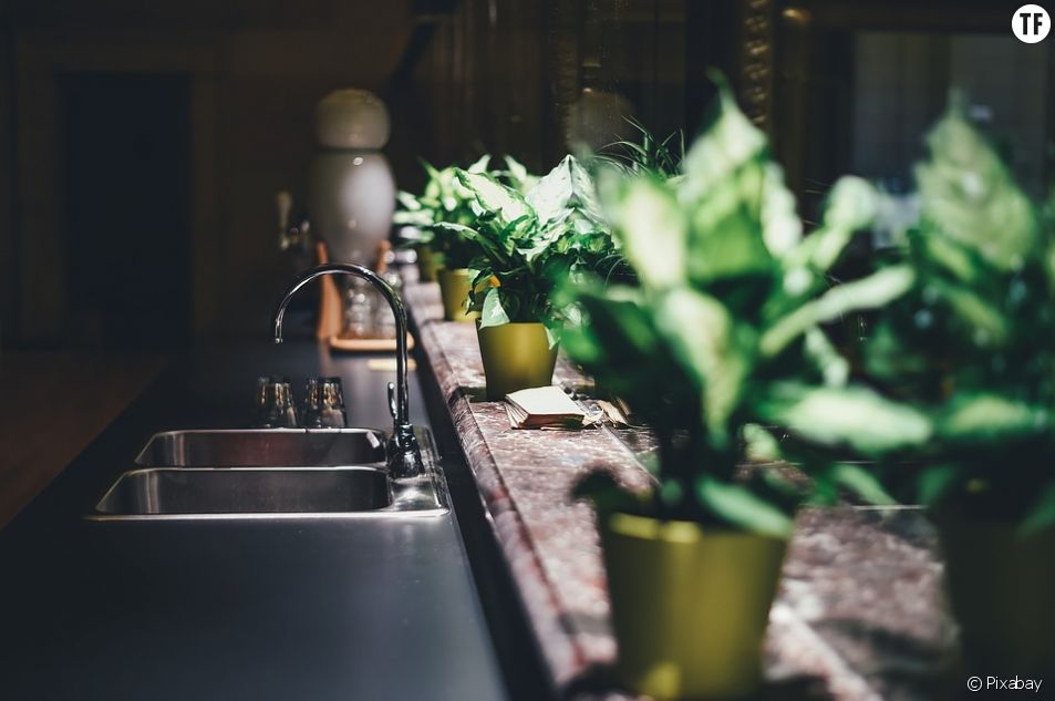 Comment Arroser Mes Plantes Pendant Les Vacances Comment Arroser Mes Plantes Pendant Mes Vacances Quand Je Ne Suis Pas La Terrafemina