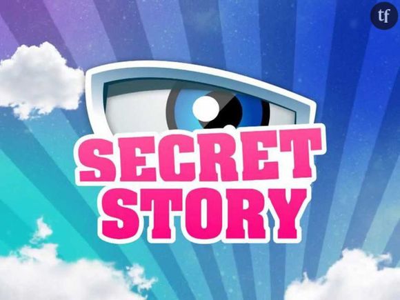 Secret Story 2017 : à quelle heure et sur quelle chaîne est diffusée la quotidienne ? 
