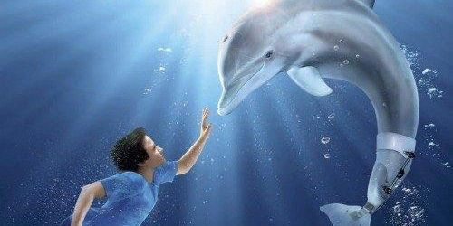 Winter le Dauphin : le destin peu commun du mammifère marin