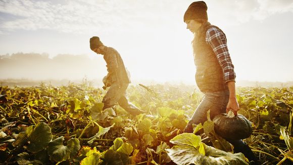 40 petits gestes pour lutter contre le réchauffement climatique au quotidien
