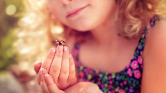 Cette fillette passionnée par les insectes signe dans une revue scientifique