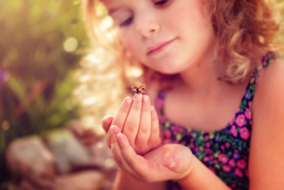 Cette fillette passionnée par les insectes signe dans une revue scientifique