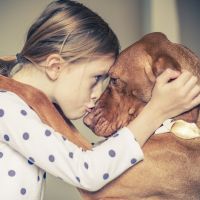 Pourquoi certaines personnes adorent les animaux et d'autres beaucoup... moins