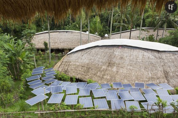 Des panneaux solaires dans un jardin tropical.