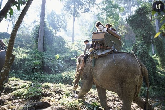 La balade à dos d'éléphant, très prisée en Asie.