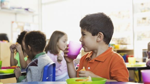 Les écoliers mangeraient trop de viande à la cantine : Greenpeace alerte