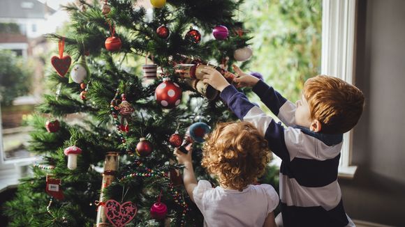 6 astuces pour faire durer votre sapin de Noël