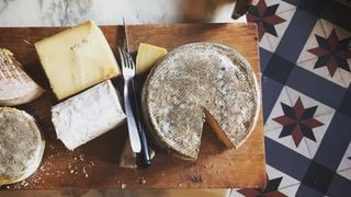 Le fromage est un aliment healthy, c'est la science qui le dit