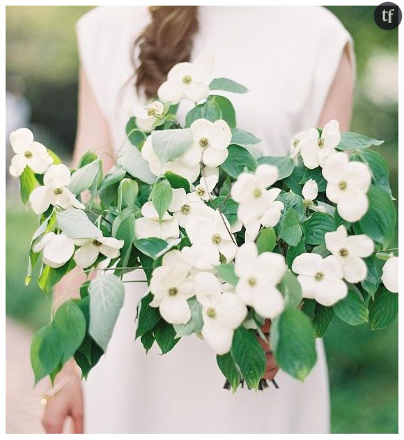 Les bouquets de fleurs de cornouiller