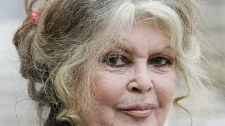 Pour Brigitte Bardot, les actrices qui dénoncent le harcèlement sont des "allumeuses"