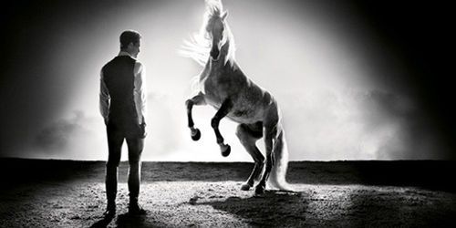 Quand les animaux reviennent en force dans l'univers du luxe