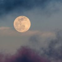 Pourquoi la pleine lune est le moment idéal pour faire l'amour