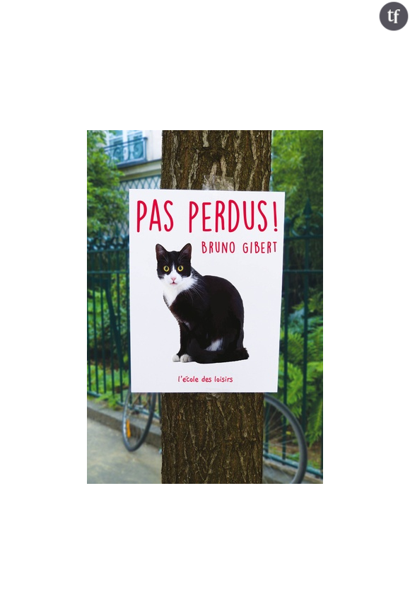 "Pas Perdus", redonner la voix aux animaux.