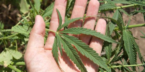 Nouvelle campagne choc contre la drogue