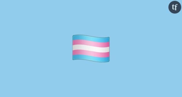 Le drapeau trans, nouveau venu parmi la centaine de derniers emojis.