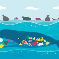 3 façons de protéger les océans et les animaux marins
