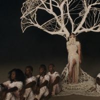 Pourquoi le "Black is King" de Beyoncé déchaîne les passions (et les polémiques)