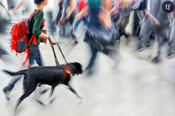 Une jeune femme épileptique refoulée d'un magasin à cause de son chien