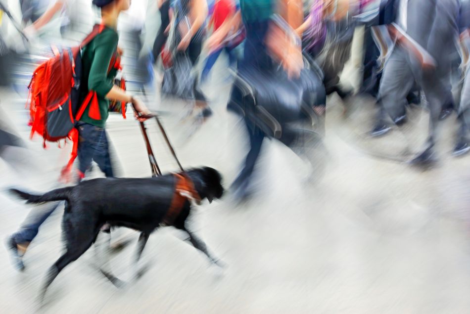 Une jeune femme épileptique refoulée d'un magasin à cause de son chien