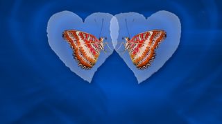 Le papillon, la position sexuelle qui donne des ailes