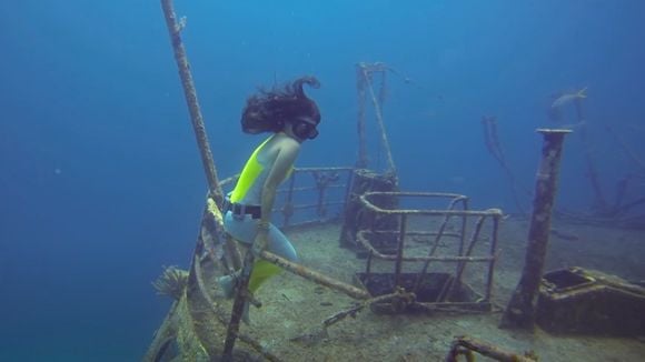 Madison Stewart, l'activiste australienne qui veut sauver les requins