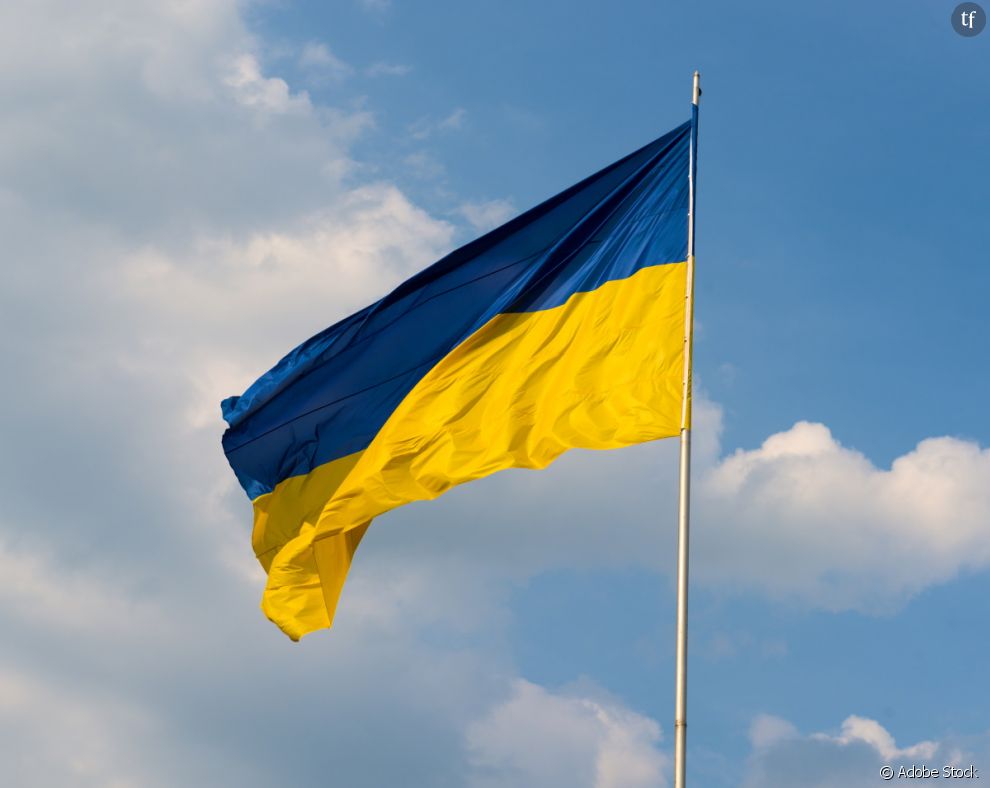 Les données personnelles recueillies sont par la suite envoyées à l&#039;armée ukrainienne.