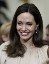  Si les discours d'Amber Heard et d'Angelina Jolie sont remis en question, comment d'autres victimes, plus isolées, peuvent-elles se sentir légitimes ?  